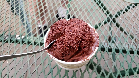 Photo of a cup of chocolate ice cream with chocolate sprinkles