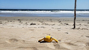 Yellow stuffed monster sitting on the beach