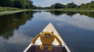 Yellow stuffed monster sitting in a canoe