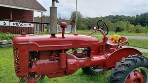 Yellow stuffed monster sitting on a red tractor