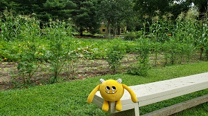 Yellow stuffed monster sitting in front of a vegetable garden