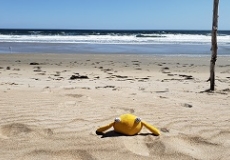 Yellow stuffed monster sitting on the beach