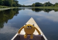 Yellow stuffed monster sitting in a canoe