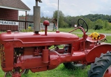 Yellow stuffed monster sitting on a red tractor