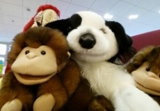 Photo of stuffed animals, including a dog, monkey, and parrot