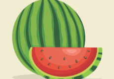 watermelon