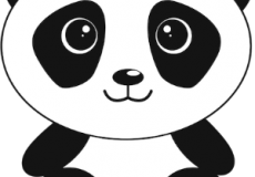 panda